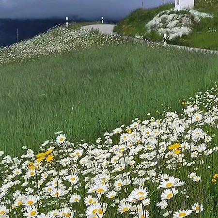 Casa Runs 7113 Camuns, Val Lumnezia *