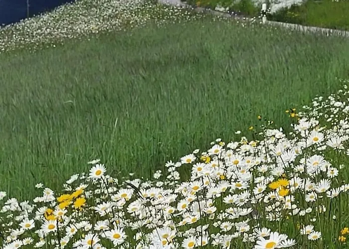 Casa Runs 7113 Camuns, Val Lumnezia *